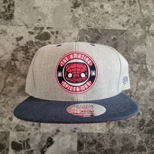 Funko The Amazing Spider-Man Marvel Collector's Corps Exclusive Snapback Hat